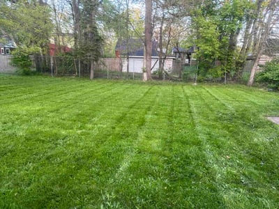 Lawn Care service in Demotte, 46310