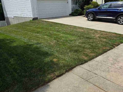 Lawn Care service in White Marsh, 21236