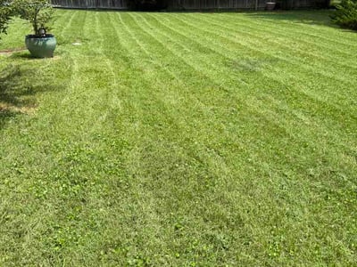 Lawn Care service in Fort Washington, 20744