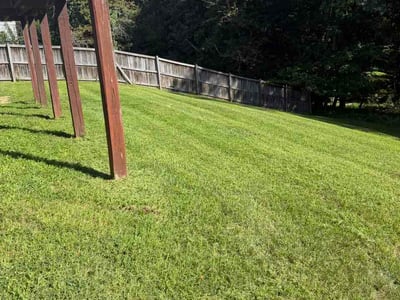 Lawn Care service in Fort Washington, 20744