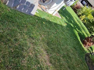Lawn Care service in Thousand Oaks, 91362