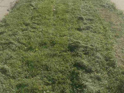 Lawn Care service in Kaukauna, 54130