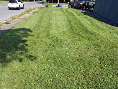Lawn Care service in Pikesville, 21208