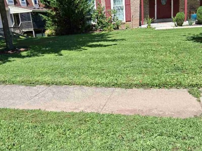 Lawn Care service in Columbia, 21044