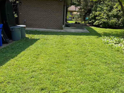 Lawn Care service in Columbia, 21044