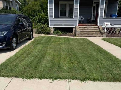 Lawn Care service in Cockeysville, 21030