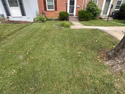 Lawn Care service in Beltsville, 20705