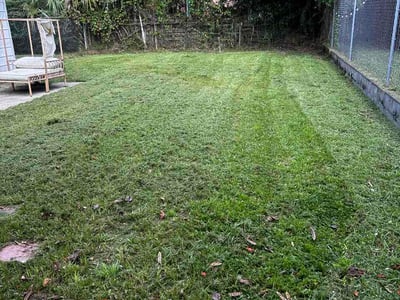 Lawn Care service in Oceanside, 92054