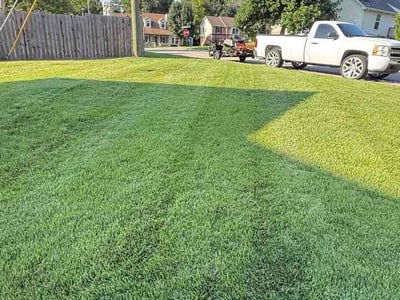 Lawn Care service in Burns, 37029