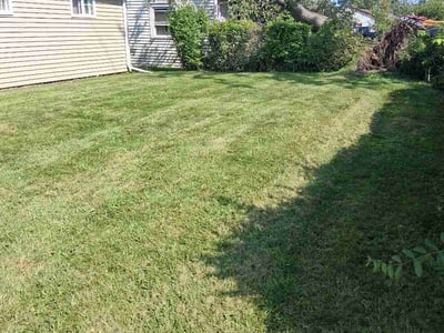 Lawn Care service in Gary, 46402