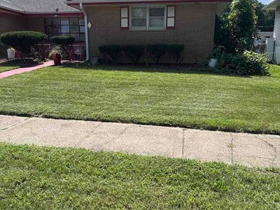 Lawn Care service in Gary, 46402