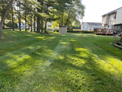 Lawn Care service in Westminster, 21157