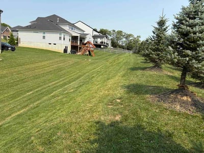 Lawn Care service in Norwood, 45212