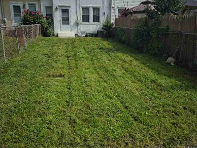 Lawn Care service in ,
