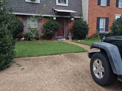 Lawn Care service in Marion, 37347