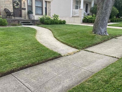 Lawn Care service in Royal Oak, 48067