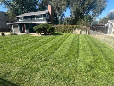 Lawn Care service in Longmont, 80501