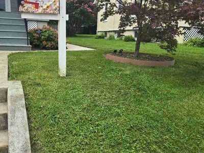 Lawn Care service in Severn, 21144