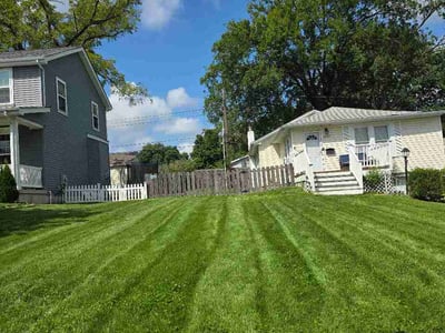 Lawn Care service in Longmont, 80501