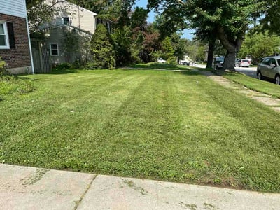 Lawn Care service in Reisterstown, 21136