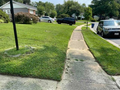 Lawn Care service in Reisterstown, 21136