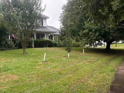 Lawn Care service in West Des Moines, 50315