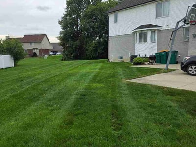 Lawn Care service in Redford, 48239