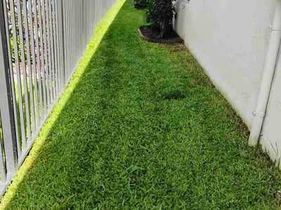 Lawn Care service in Loxahatchee, 33412