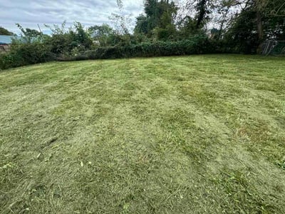 Lawn Care service in Elkton, 21921