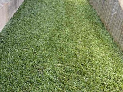 Lawn Care service in Bastrop, 78602