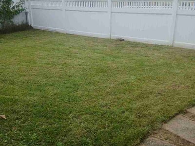Lawn Care service in Middle River, 21220