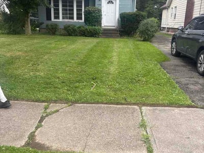 Lawn Care service in North Olmstead, 44070