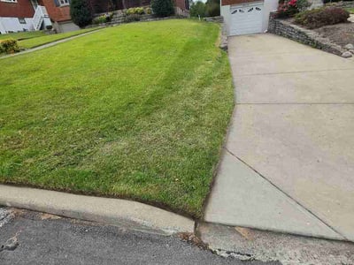 Lawn Care service in Erlanger, 41018