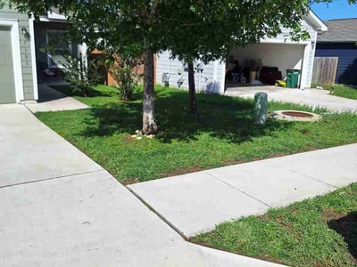 Lawn Care service in Dale, 78616