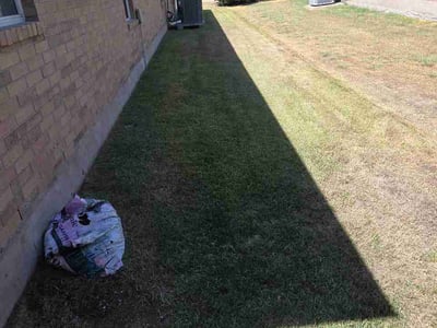 Lawn Care service in Wells Branch, 78728