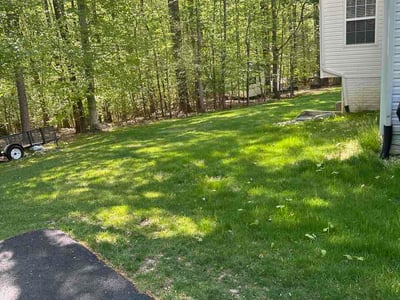 Lawn Care service in Burke, 22015