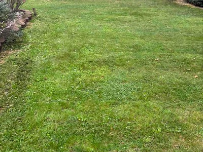 Lawn Care service in Euclid, 44123