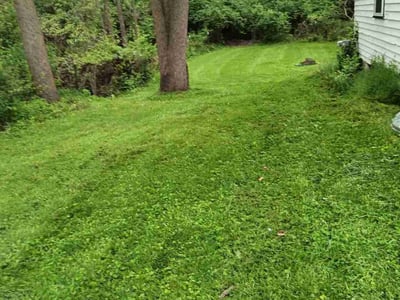 Lawn Care service in Port Huron, 48060