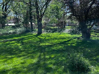 Lawn Care service in Euclid, 44123