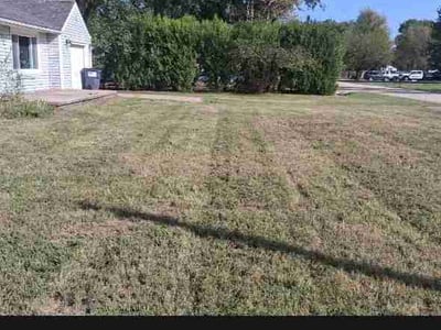Lawn Care service in Newton, 67114