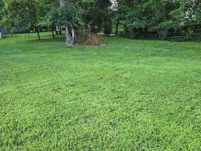 Lawn Care service in Dickson, 37055