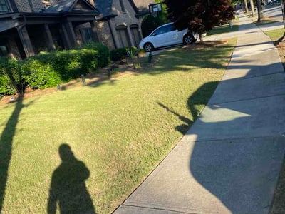 Lawn Care service in Imperial Beach, 91932