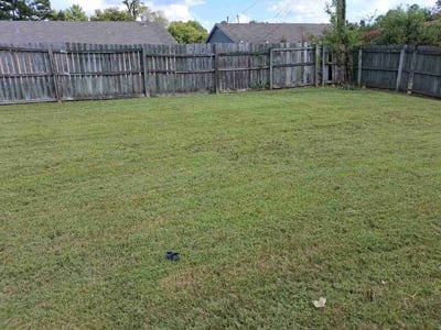 Lawn Care service in Dickson, 37055