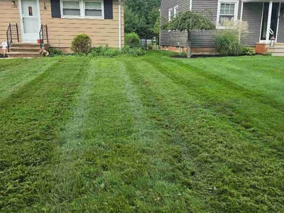 Lawn Care service in Wellington, 44090