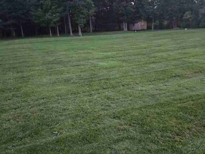 Lawn Care service in Wellington, 44090