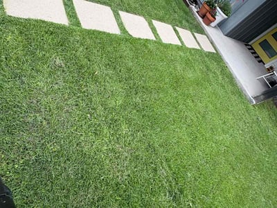 Lawn Care service in Wimberley, 78676