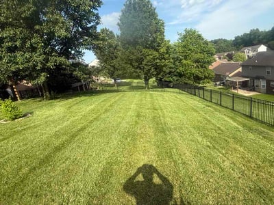 Lawn Care service in Burlington, 41005