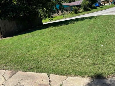 Lawn Care service in La Mesa, 91942