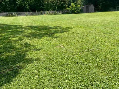 Lawn Care service in Bel Air, 21014