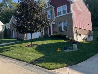 Lawn Care service in Burlington, 41005